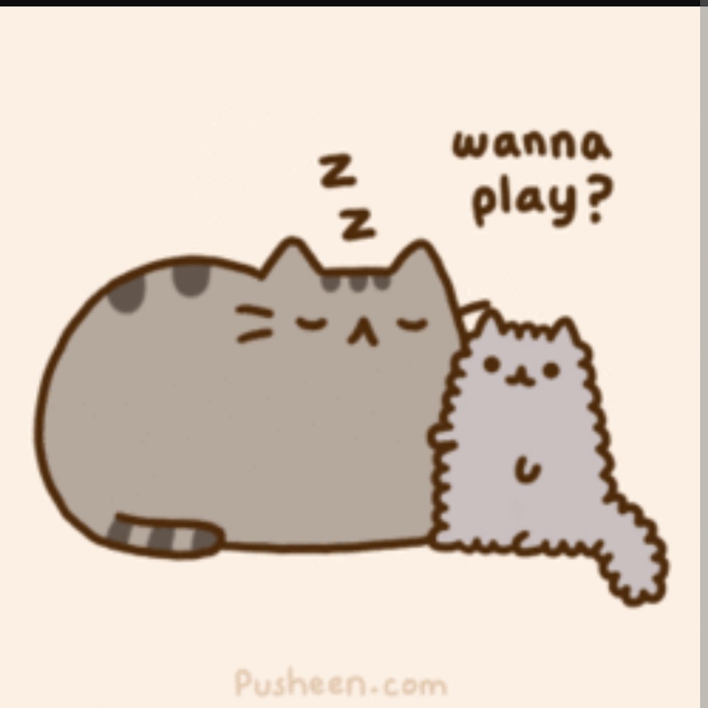 Meet your Posher, Isabella